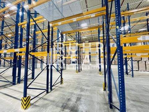 Bocholt Halle, Bocholt Hallenfläche