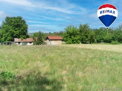 Biederitz Bauernhöfe, Landwirtschaft, Biederitz Forstwirtschaft