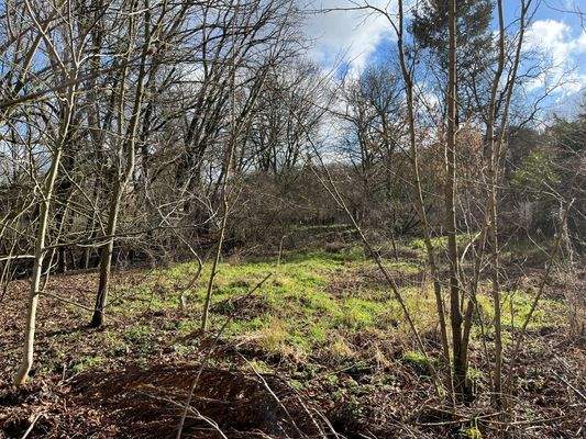 Ansicht Baugrundstück