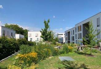 Der Gemeinschaftsgarten