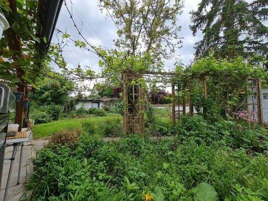 Ausblick in den Garten