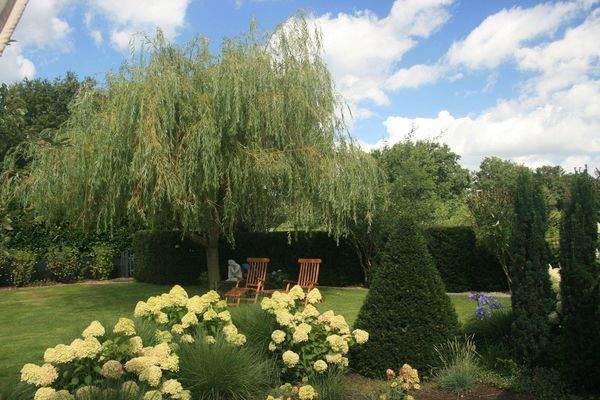 im Schatten des Weidenbaumes