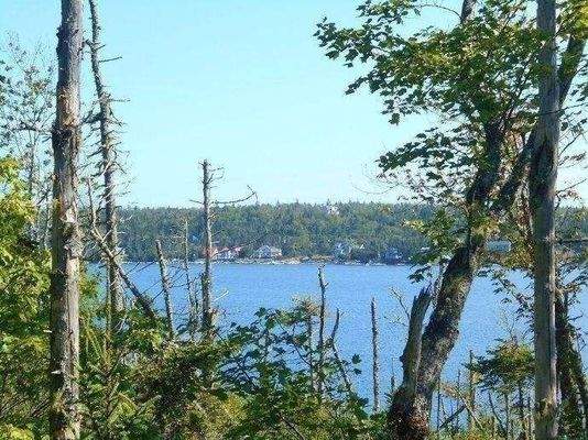 Oberhalb der Wasserfront mit Blick auf Shad Bay
