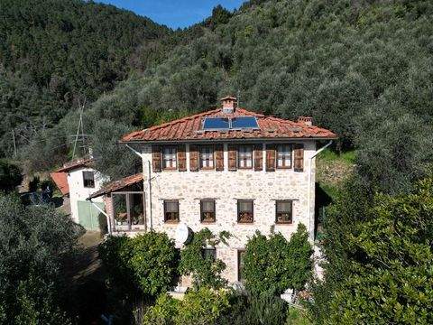 Montebello di Camaiore Häuser, Montebello di Camaiore Haus kaufen