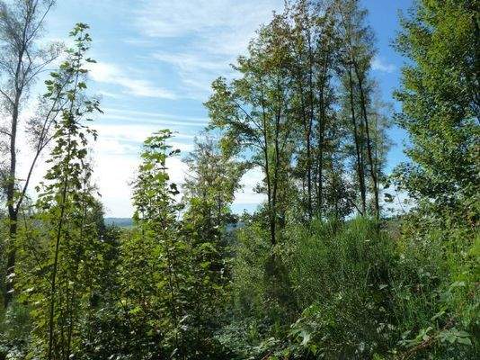 Impressionen vom Grundstück