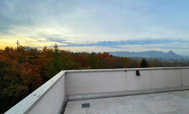 Penthouse-Dachterrasse