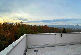 Penthouse-Dachterrasse
