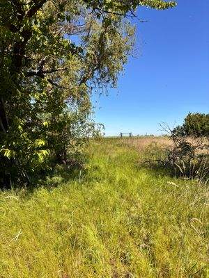Blick vom Haus in den Garten