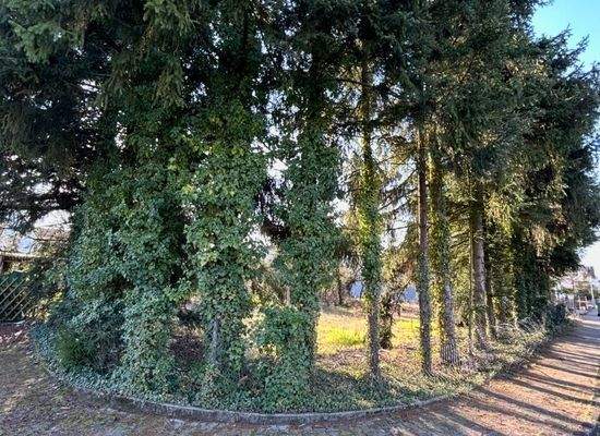 Süd-Ost Blick von der Straße