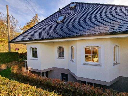 Seitenansicht (Westen)