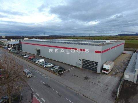 Dettingen unter Teck Halle, Dettingen unter Teck Hallenfläche