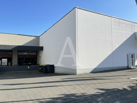 Frechen Halle, Frechen Hallenfläche