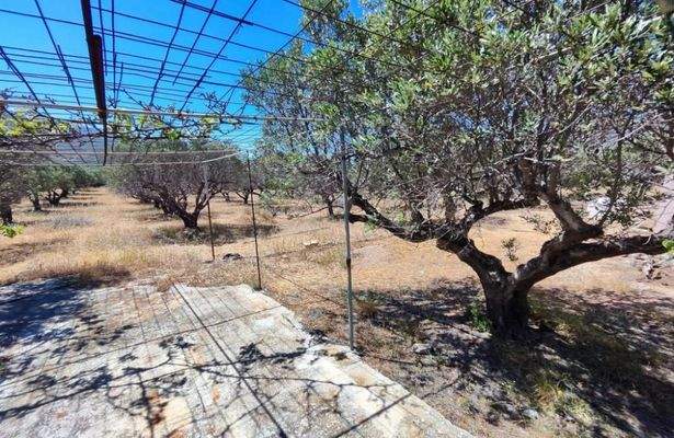 Kreta, Monastiraki: Großes Anwesen mit vielen Möglichkeiten zu verkaufen