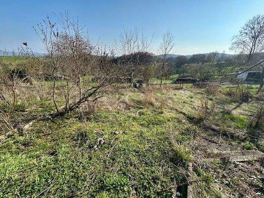 Haben Sie einen grünen Daumen?