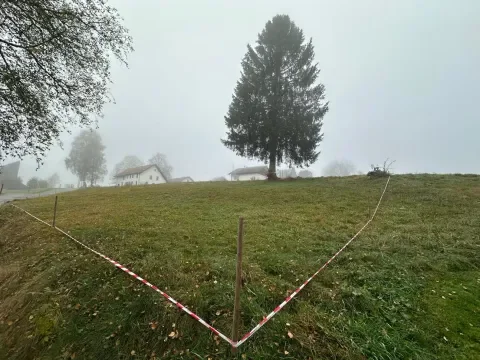 Herrischried Grundstücke, Herrischried Grundstück kaufen