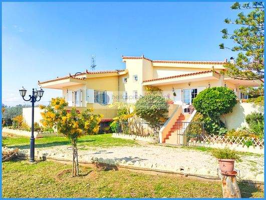 f24290cacc67438bb06305b21b855d36-original