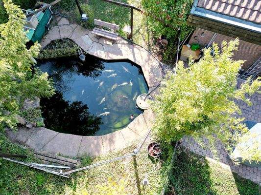 schön angelegter Koi-Teich