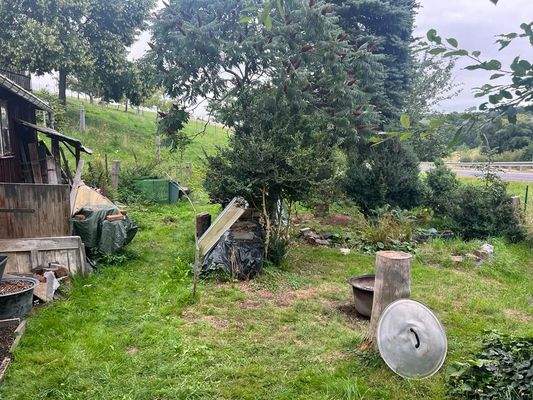 PHOTO-2023-11-02-17-12-42 5.jpg