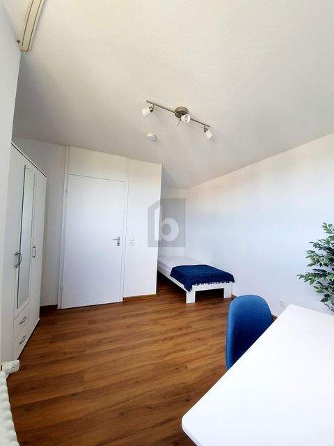 Tübingen Wohnungen, Tübingen Wohnung mieten
