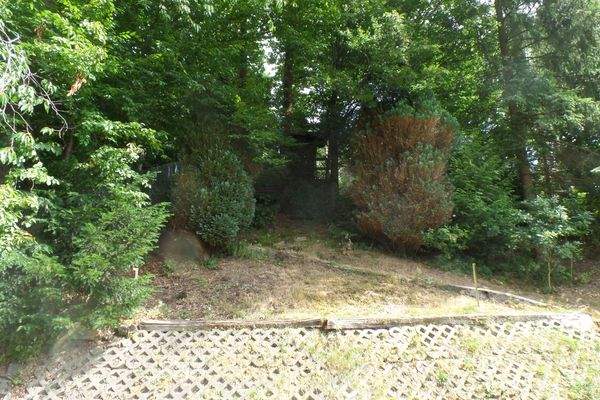 Gartenaufgang Waldstück