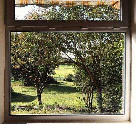 Ausblick in den Garten