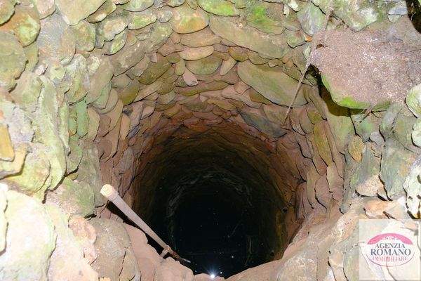 rif 1504(Copy65).jpg