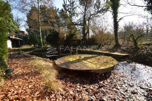 Sonnenterrasse Schwimmteich