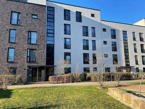 Hamburg Wohnungen, Hamburg Wohnung mieten