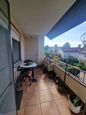 WhatsApp Image 2025-09-21 at 14.42.56.jpeg