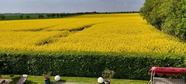 PHOTO-2025-10-22-09-44-44 (10).jpg