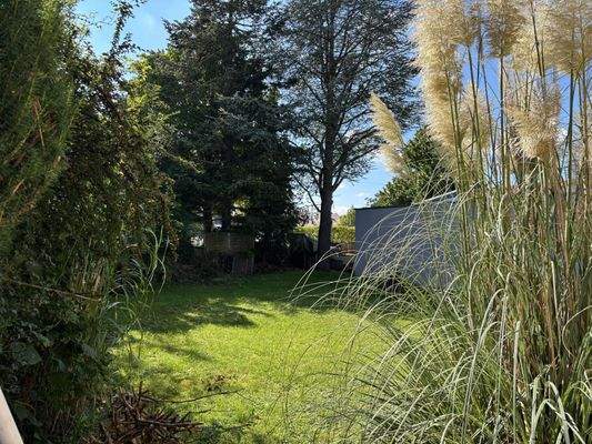 schön eingewachsener Garten