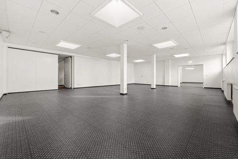 Brühl Halle, Brühl Hallenfläche