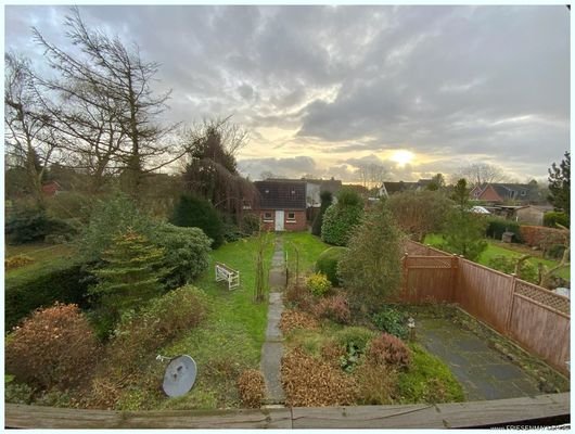 Blick in den Garten