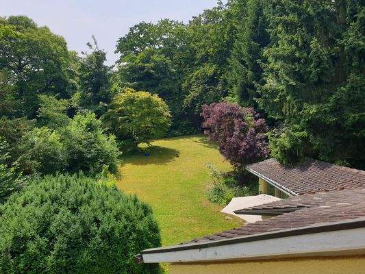 Blick in das Grundstück