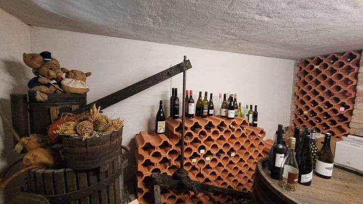 Weinkeller inkl. alter Presse