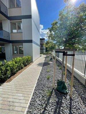 1y6Ol2xu0JMPviBfL2alXP