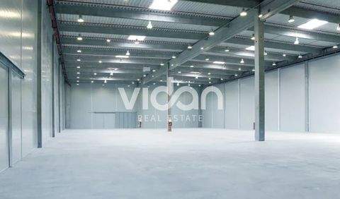 Neuss Halle, Neuss Hallenfläche