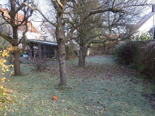 viele Obstbäume.JPG