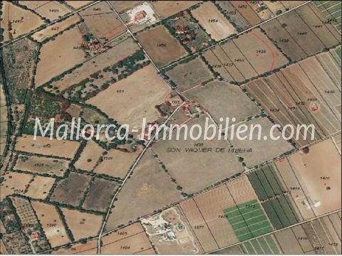 Manacor Mallorca Grundstücke, Manacor Mallorca Grundstück kaufen