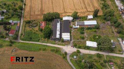 Bad Frankenhausen/Kyffhäuser Halle, Bad Frankenhausen/Kyffhäuser Hallenfläche