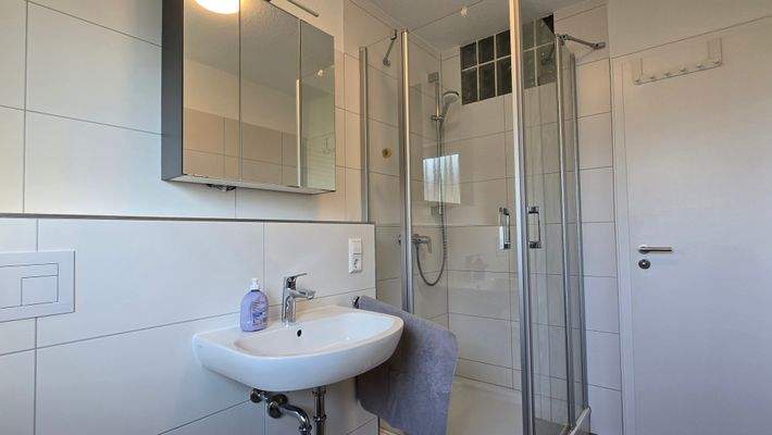 Tageslicht Duschbad mit WC