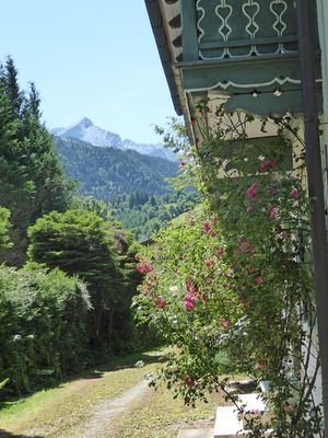 Grundstückzufahrt mit Alpspitzblick