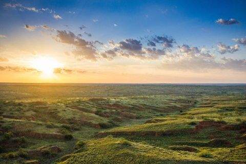Mcleans Häuser, Mcleans Haus kaufen