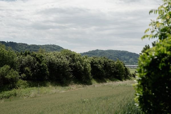Bild 41
