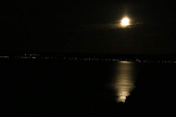 Blick aus dem Wohnzimmer !