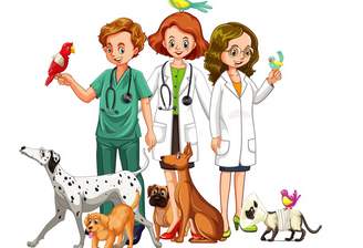 Screenshot 2023-03-13 111420