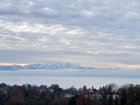Friedrichshafen Wohnungen, Friedrichshafen Wohnung mieten