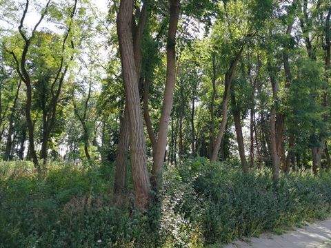 Teltow Grundstücke, Teltow Grundstück kaufen