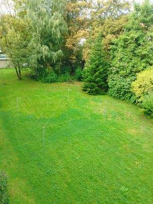 Rasen hinterm Haus.jpg