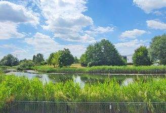 Naherholung am Mühlendorf See